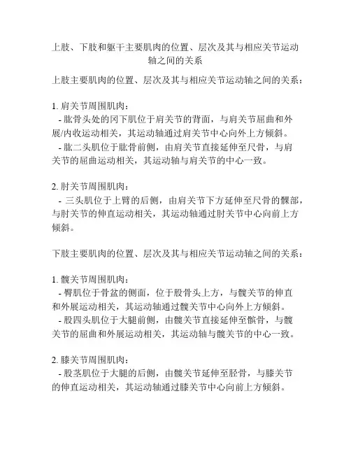 上肢、下肢和躯干主要肌肉的位置、层次及其与相应关节运动轴之间的关系