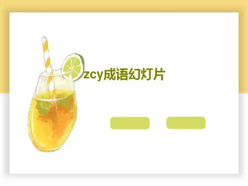 zcy成语幻灯片33页PPT