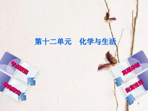(安徽专版)中考化学复习 第十二单元 化学与生活课件.pptx