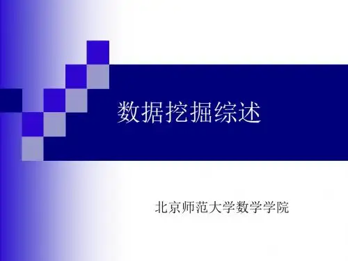 数据挖掘综述-PPT文档资料