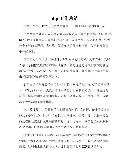 dip工作总结