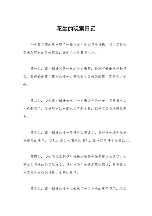 花生的观察日记