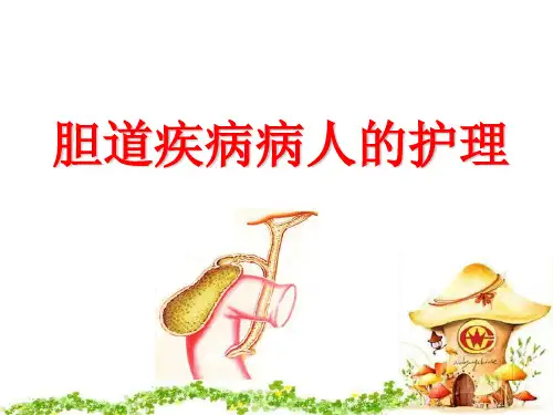 胆道疾病护理要点