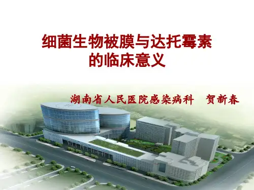 达托霉素与细菌生物被膜的临床意义