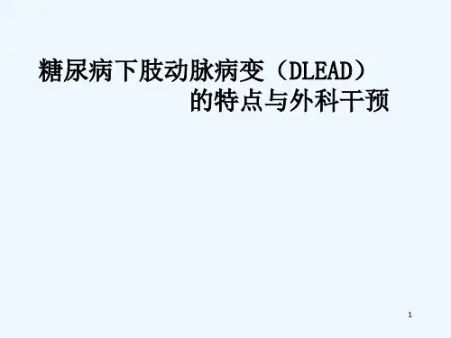 糖尿病下肢动脉病变(DLEAD) PPT