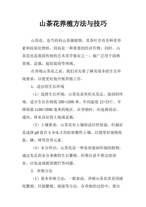 山茶花养殖方法与技巧