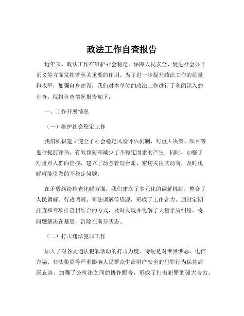 政法工作自查报告