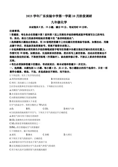 广东省广州市越秀区广东实验中学2023-2024学年九年级上学期10月月考化学试题