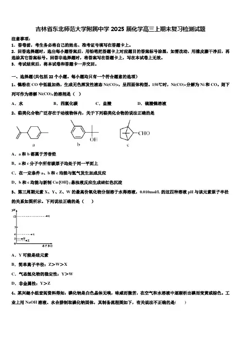 吉林省东北师范大学附属中学2025届化学高三上期末复习检测试题含解析
