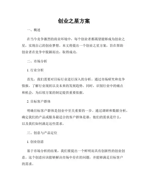 创业之星方案
