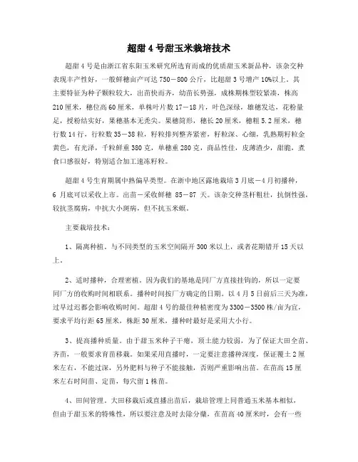 超甜4号甜玉米栽培技术