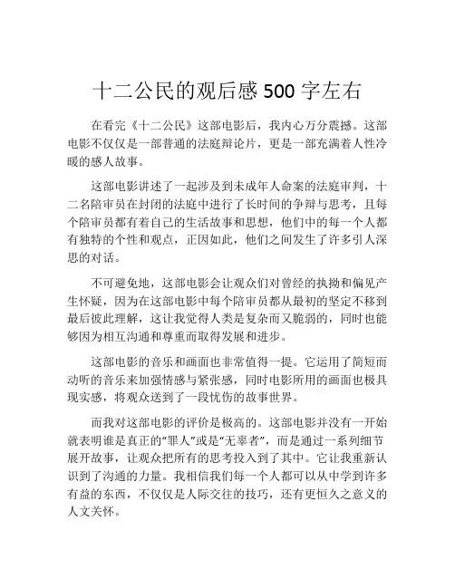 十二公民的观后感500字左右