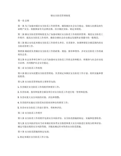镇安全防范管理制度