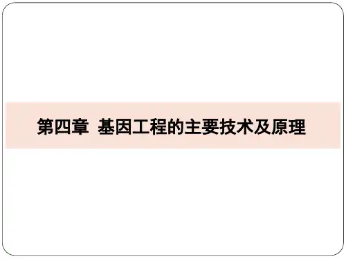 基因工程的主要技术与原理