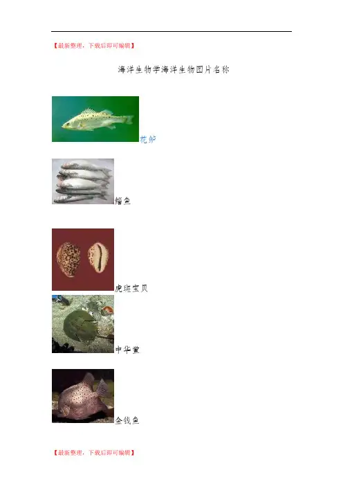 海洋生物学海洋生物图片名称(精编文档).doc