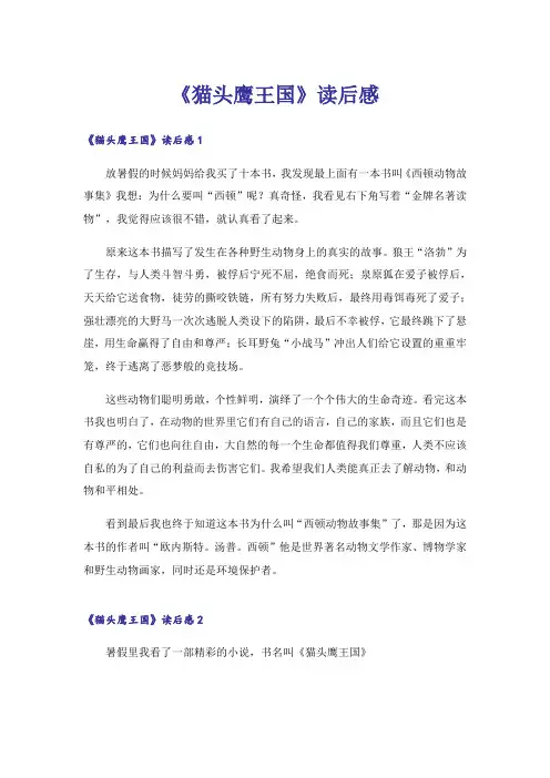 《猫头鹰王国》读后感