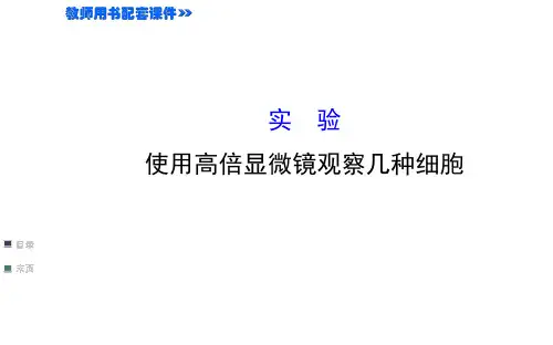 使用高倍显微镜观察几种细胞(49张ppt