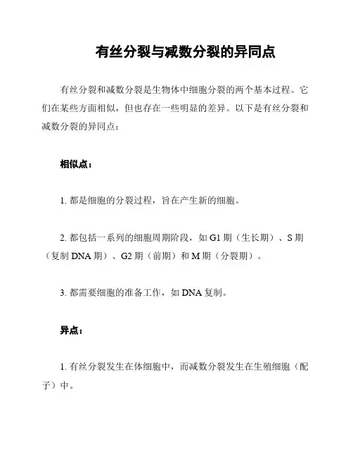 有丝分裂与减数分裂的异同点