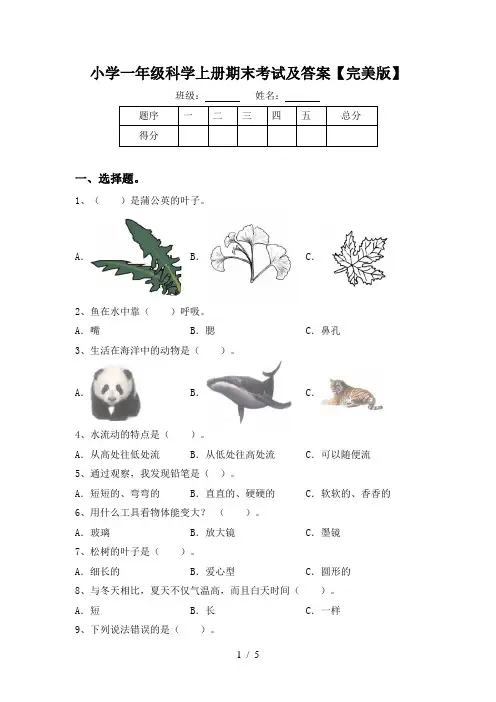 小学一年级科学上册期末考试及答案【完美版】