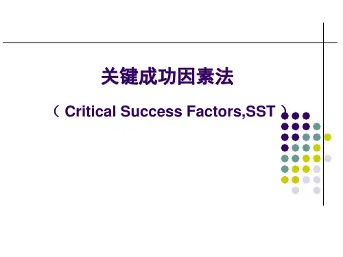 管理信息系统第05章 CSF and SST(了解)