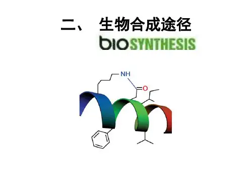 3 生物合成途径