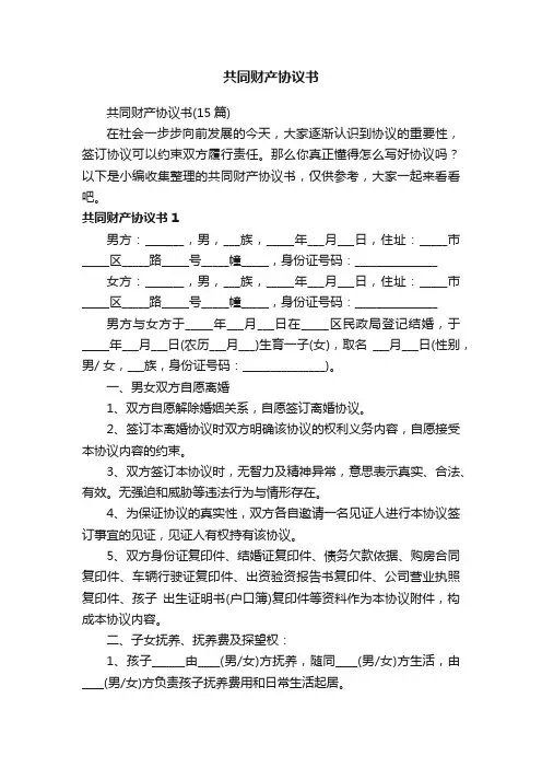 共同财产协议书