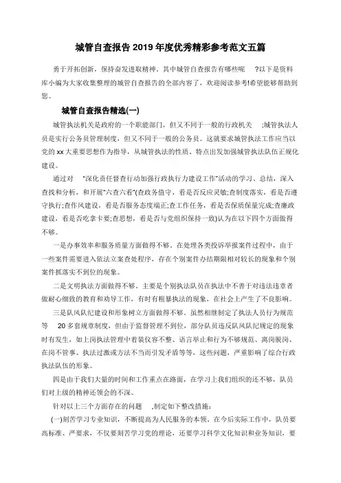 城管自查报告2019年度优秀精彩参考范文五篇