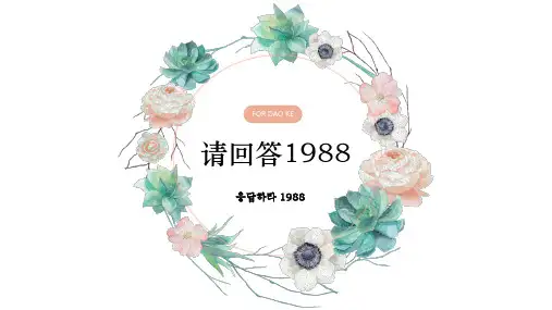 请回答1988我喜欢的电视剧分享ppt
