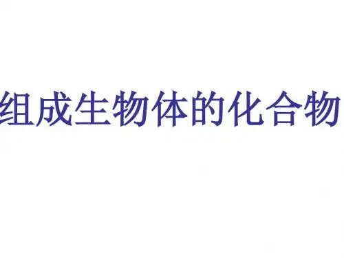 蛋白质与核酸PPT课件