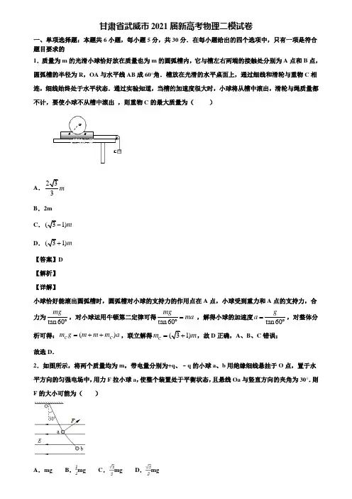 甘肃省武威市2021届新高考物理二模试卷含解析