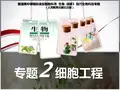 人教版高中生物选修3 2.1.1 植物细胞工程的基本技术