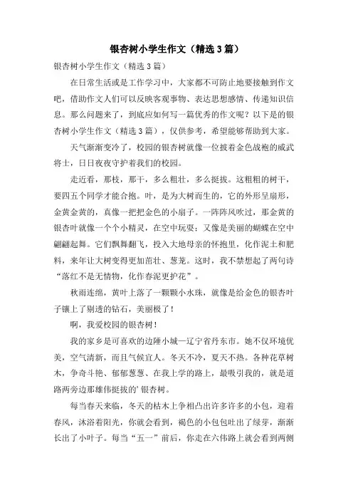 银杏树小学生作文(3篇)