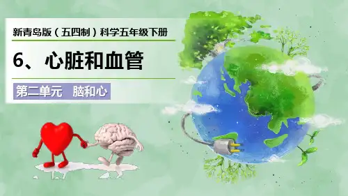 新青岛版(五四制)科学五年级下册第二单元 脑和心《心脏和血管》优质课件
