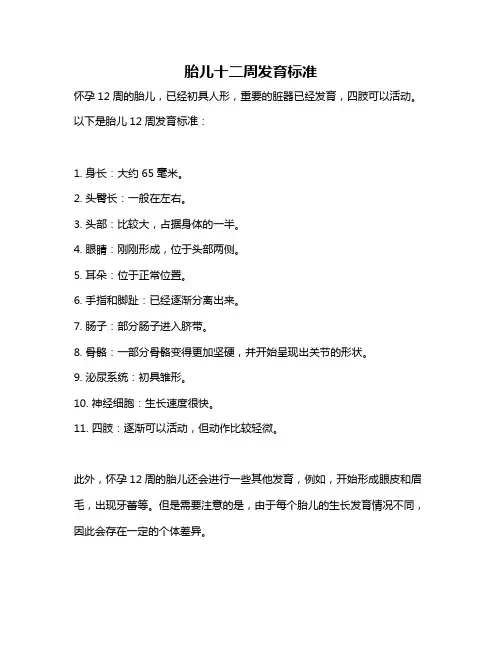 胎儿十二周发育标准