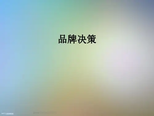 品牌决策_精品文档