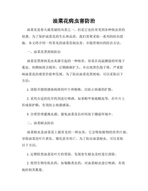 油菜花病虫害防治