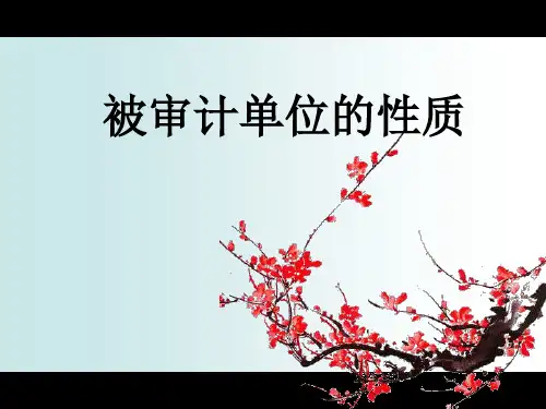 被审计单位的性质