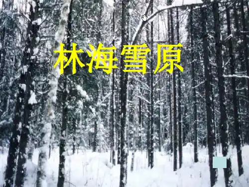 山东人民版小学五级品德与社会下册《林海雪原》 
