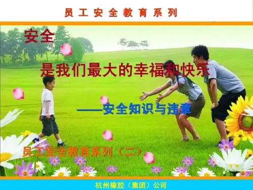 安全知识与违章员工安全教育系列(二)