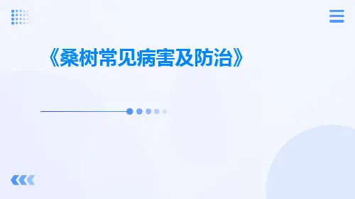 桑树常见病害及防治