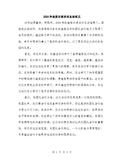 2024年造型训练实训总结范文(2篇)