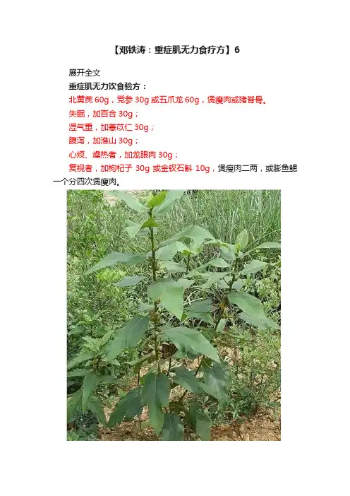 【邓铁涛：重症肌无力食疗方】6