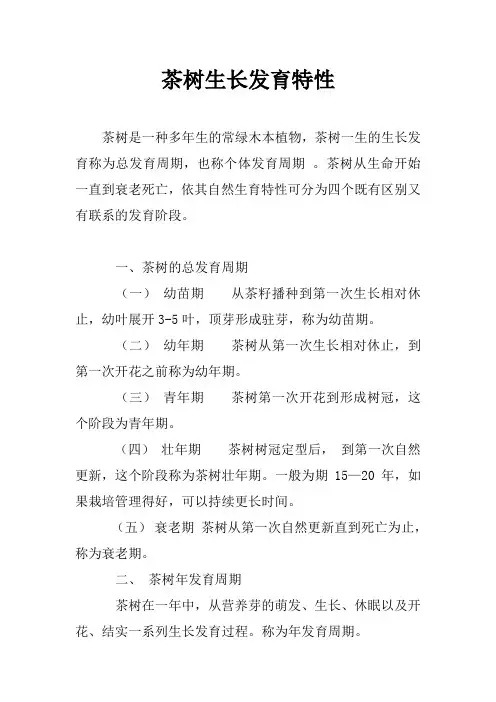 茶树生长发育特性