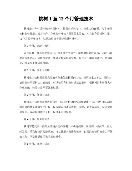 桃树1至12个月管理技术