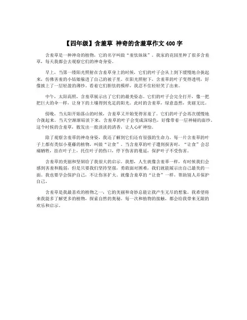 【四年级】含羞草 神奇的含羞草作文400字
