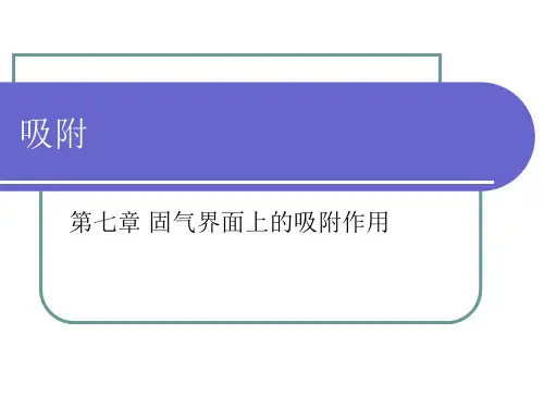 表面与胶体化学—第七章表面吸附