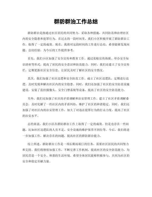 群防群治工作总结