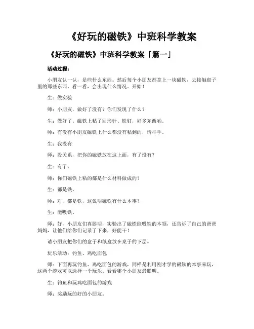 《好玩的磁铁》中班科学教案