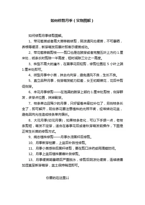 如何修剪月季（实物图解）