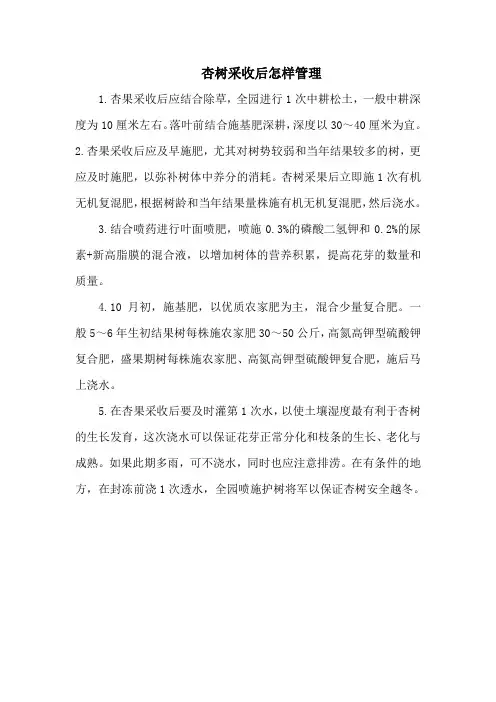 杏树采收后怎样管理